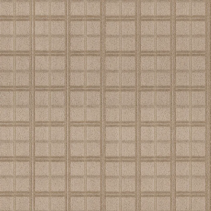 Anderson Tuftex Breeze Block — Cork · ZZ291-00273 — flooring selection with LeviArs Design & Remodeling