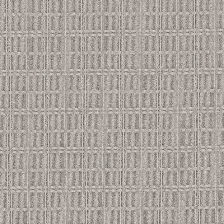 Anderson Tuftex Breeze Block — Foggy · ZZ291-00542 — flooring selection with LeviArs Design & Remodeling