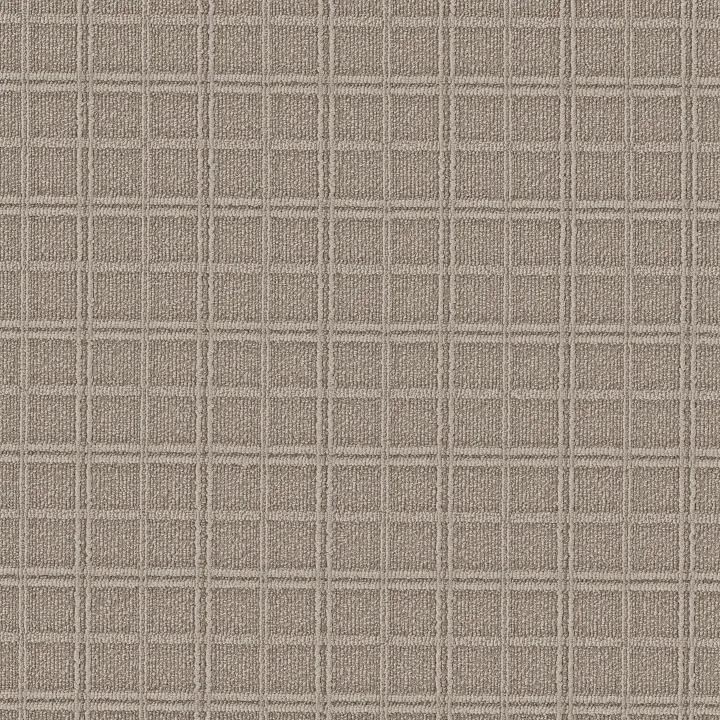 Anderson Tuftex Breeze Block — Fossil · ZZ291-00753 — flooring selection with LeviArs Design & Remodeling