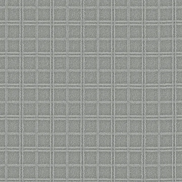 Anderson Tuftex Breeze Block — Graceful · ZZ291-00345 — flooring selection with LeviArs Design & Remodeling
