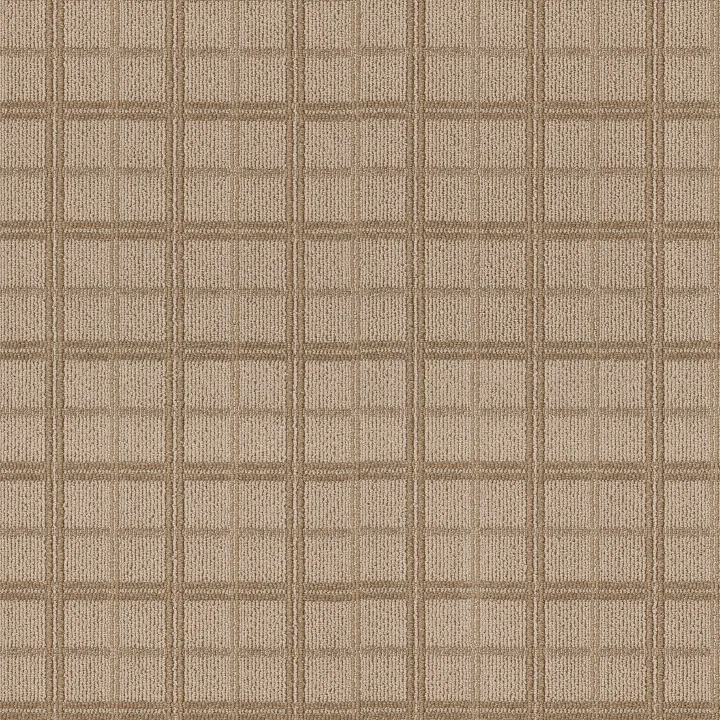 Anderson Tuftex Breeze Block — Sailcloth · ZZ291-00275 — flooring selection with LeviArs Design & Remodeling
