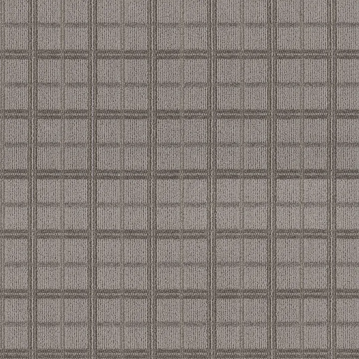 Anderson Tuftex Breeze Block — Shady · ZZ291-00536 — flooring selection with LeviArs Design & Remodeling