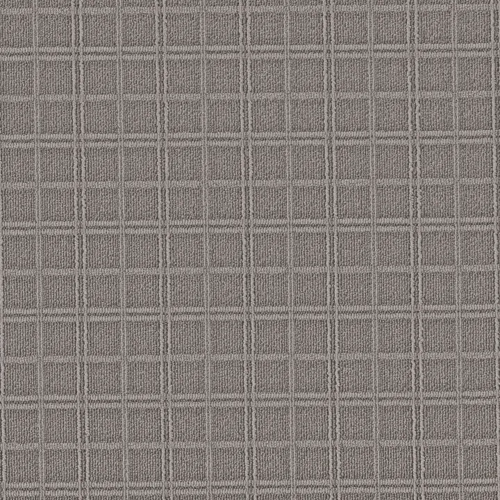 Anderson Tuftex Breeze Block — Silver Polish · ZZ291-00546 — flooring selection with LeviArs Design & Remodeling