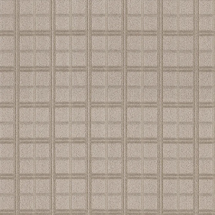 Anderson Tuftex Breeze Block — Twine · ZZ291-00173 — flooring selection with LeviArs Design & Remodeling