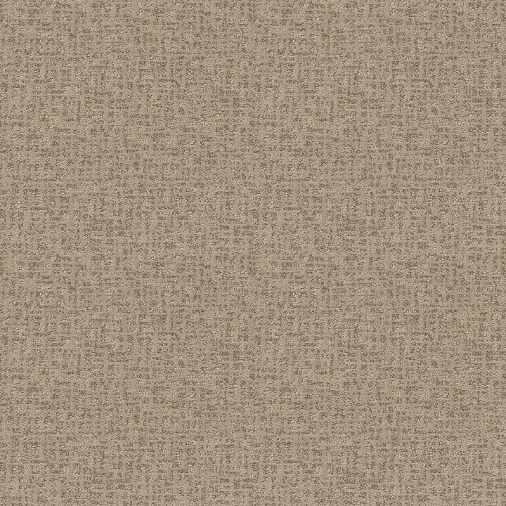 Anderson Tuftex Caboodle — Blonde · ZZ259-00122 — flooring selection with LeviArs Design & Remodeling