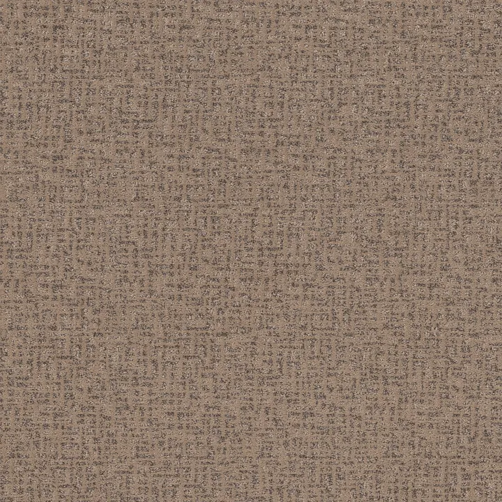 Anderson Tuftex Caboodle — Camelback · ZZ259-00673 — flooring selection with LeviArs Design & Remodeling