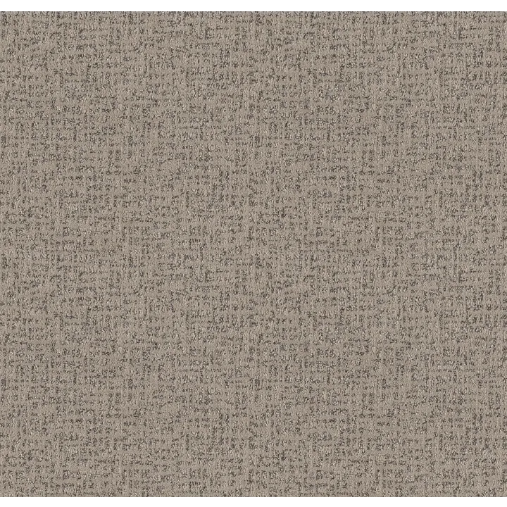 Anderson Tuftex Caboodle — Grounded · ZZ259-00753 — flooring selection with LeviArs Design & Remodeling