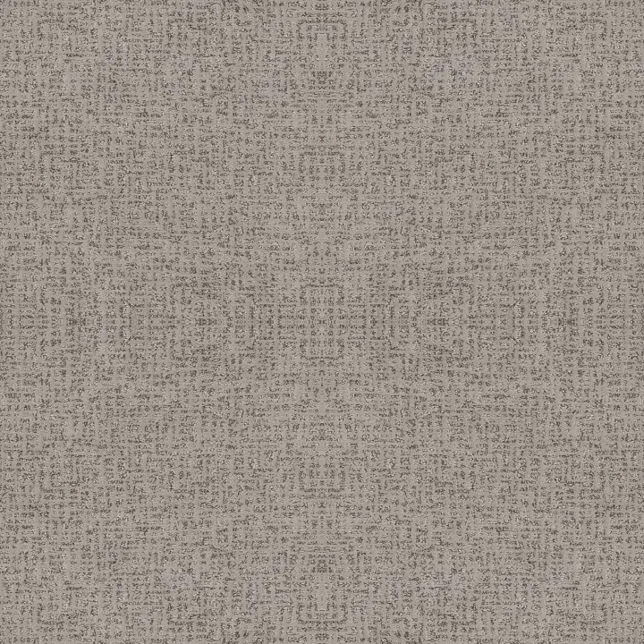 Anderson Tuftex Caboodle — Mindful · ZZ259-00572 — flooring selection with LeviArs Design & Remodeling