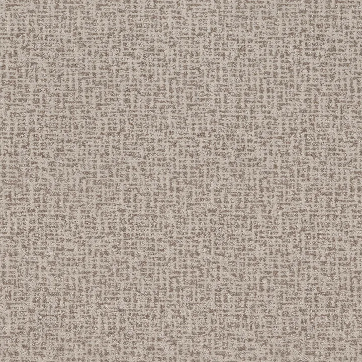 Anderson Tuftex Caboodle — Nomadic · ZZ259-00171 — flooring selection with LeviArs Design & Remodeling