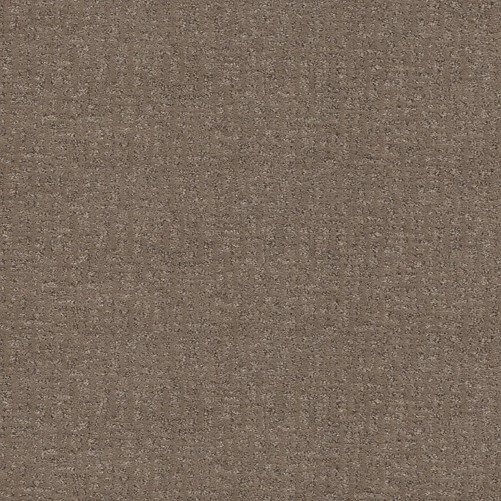 Anderson Tuftex Caboodle — Sable · ZZ259-00775 — flooring selection with LeviArs Design & Remodeling