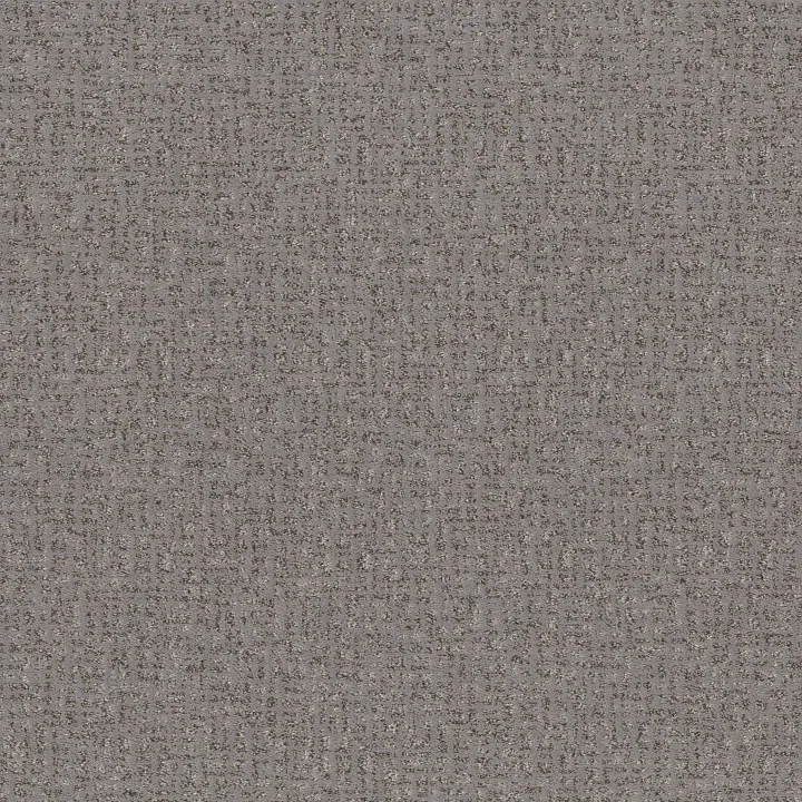Anderson Tuftex Caboodle — Sensible · ZZ259-00553 — flooring selection with LeviArs Design & Remodeling
