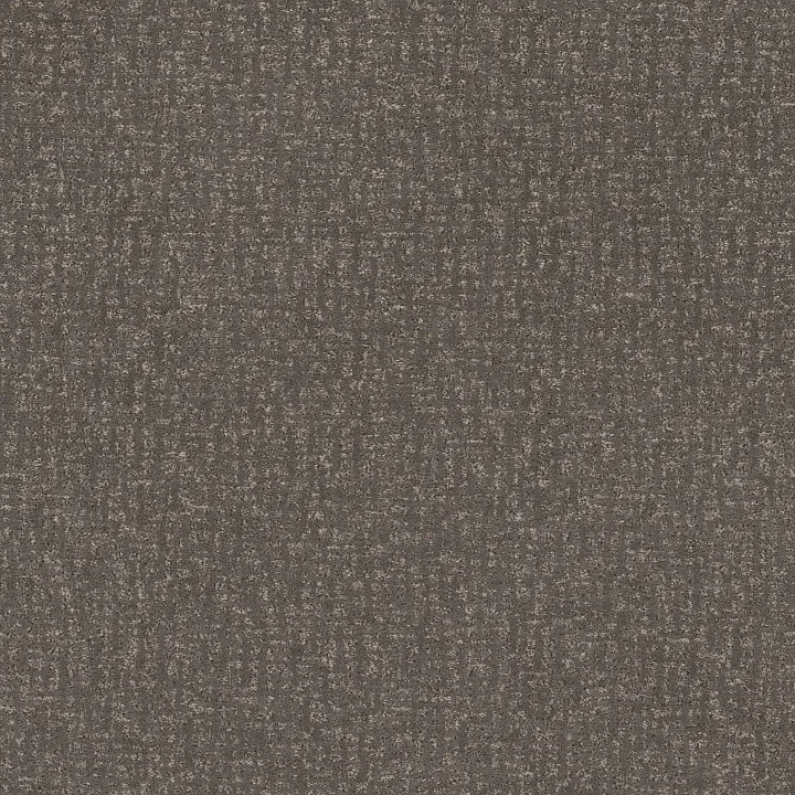 Anderson Tuftex Caboodle — Shade · ZZ259-00578 — flooring selection with LeviArs Design & Remodeling