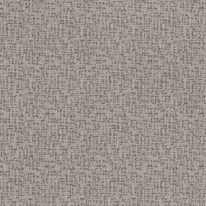 Anderson Tuftex Caboodle — Solitude · ZZ259-00551 — flooring selection with LeviArs Design & Remodeling