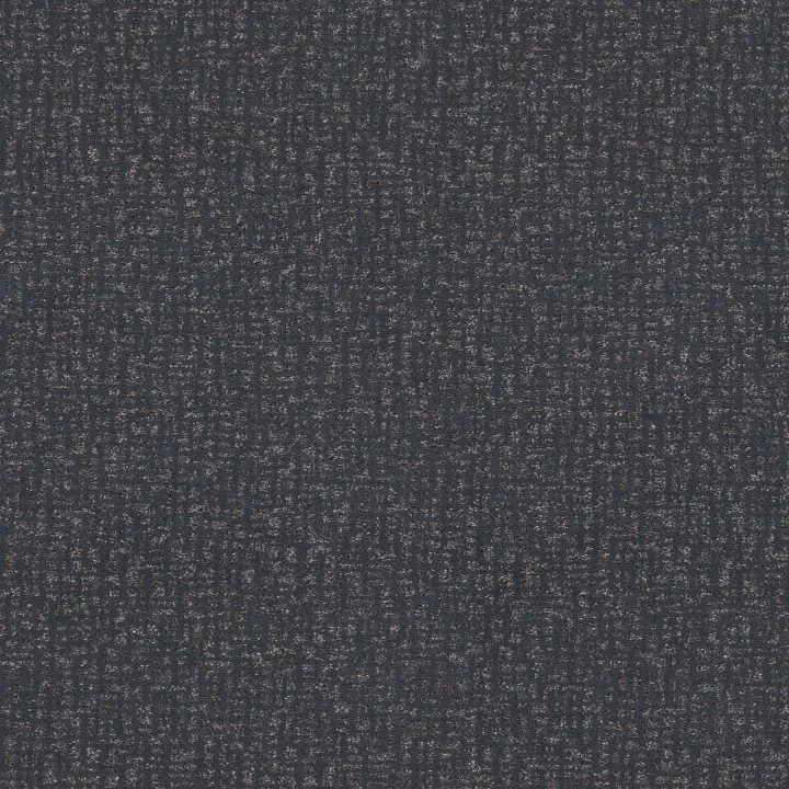 Anderson Tuftex Caboodle — Uniform · ZZ259-00458 — flooring selection with LeviArs Design & Remodeling