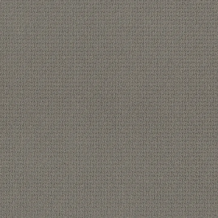 Anderson Tuftex Casual Life — Atmosphere · Z6812-00535 — flooring selection with LeviArs Design & Remodeling