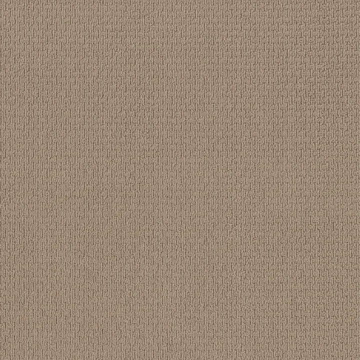 Anderson Tuftex Casual Life — Baked Beige · Z6812-00173 — flooring selection with LeviArs Design & Remodeling