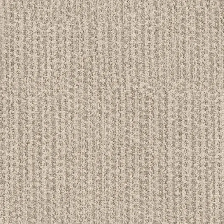 Anderson Tuftex Casual Life — Brushed Ivory · Z6812-00111 — flooring selection with LeviArs Design & Remodeling