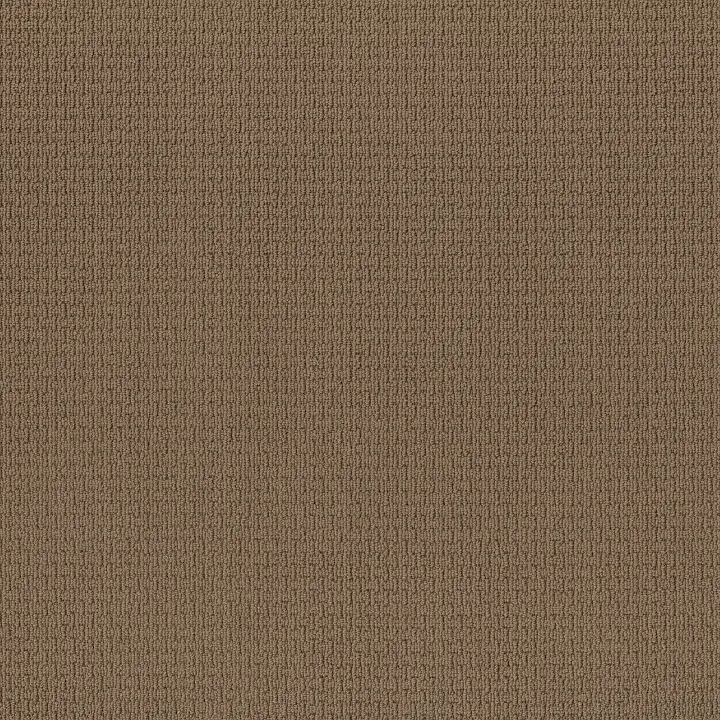 Anderson Tuftex Casual Life — Buckaroo · Z6812-00773 — flooring selection with LeviArs Design & Remodeling