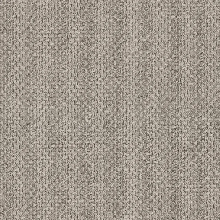 Anderson Tuftex Casual Life — Cement · Z6812-00512 — flooring selection with LeviArs Design & Remodeling