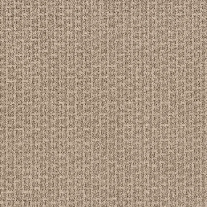 Anderson Tuftex Casual Life — Ceramic Glaze · Z6812-00171 — flooring selection with LeviArs Design & Remodeling