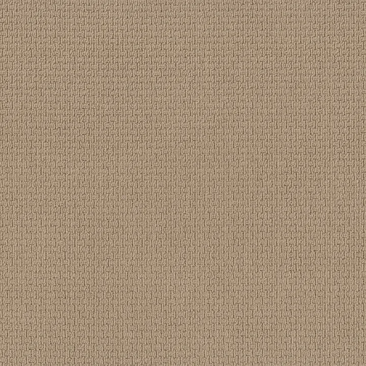 Anderson Tuftex Casual Life — Chamois · Z6812-00221 — flooring selection with LeviArs Design & Remodeling