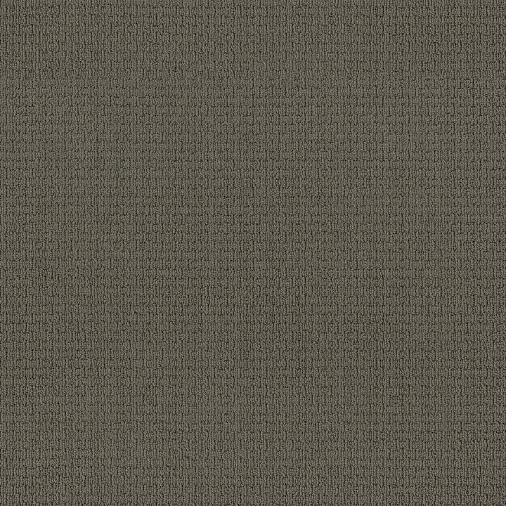 Anderson Tuftex Casual Life — Charcoal · Z6812-00539 — flooring selection with LeviArs Design & Remodeling