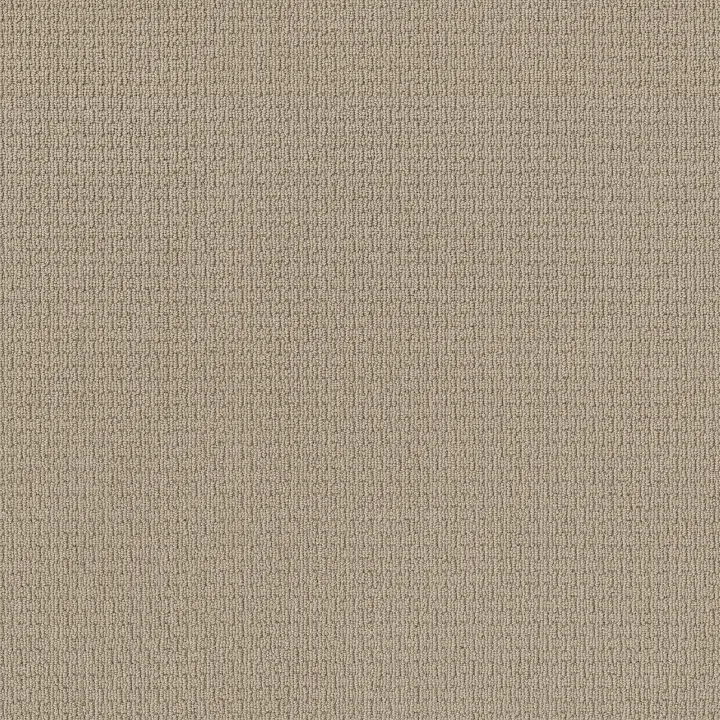 Anderson Tuftex Casual Life — Chic Cream · Z6812-00112 — flooring selection with LeviArs Design & Remodeling