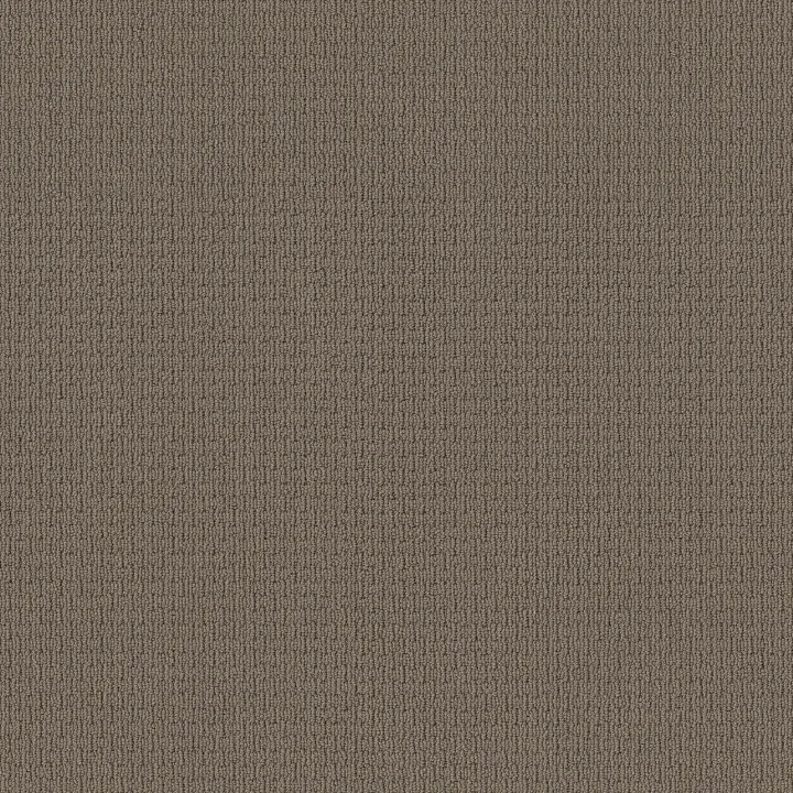 Anderson Tuftex Casual Life — Cottage Stone · Z6812-00735 — flooring selection with LeviArs Design & Remodeling