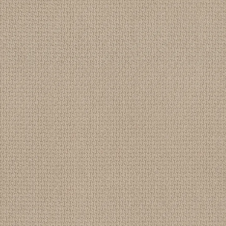Anderson Tuftex Casual Life — Dream Dust · Z6812-00220 — flooring selection with LeviArs Design & Remodeling