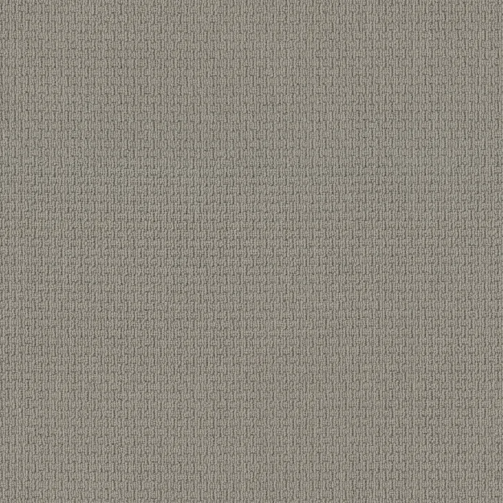 Anderson Tuftex Casual Life — Gray Whisper · Z6812-00515 — flooring selection with LeviArs Design & Remodeling