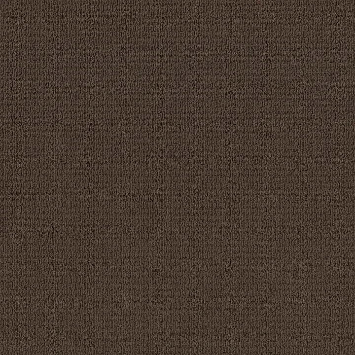 Anderson Tuftex Casual Life — Kola Nut · Z6812-00776 — flooring selection with LeviArs Design & Remodeling