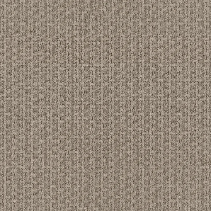 Anderson Tuftex Casual Life — Oyster · Z6812-00513 — flooring selection with LeviArs Design & Remodeling