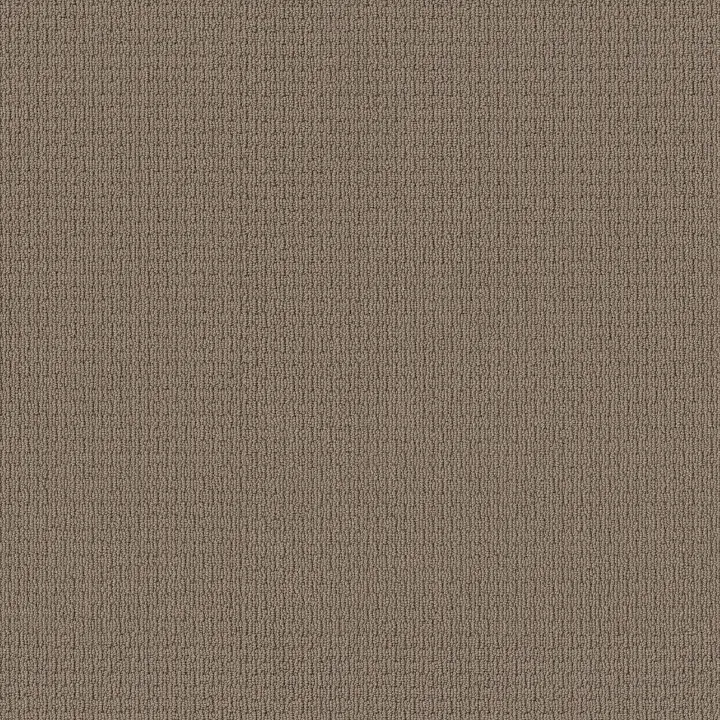 Anderson Tuftex Casual Life — Sable · Z6812-00754 — flooring selection with LeviArs Design & Remodeling