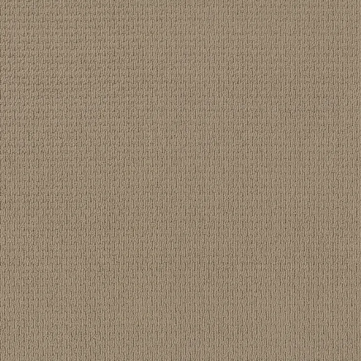 Anderson Tuftex Casual Life — Sandcastle · Z6812-00113 — flooring selection with LeviArs Design & Remodeling
