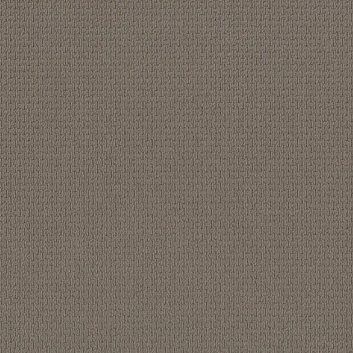 Anderson Tuftex Casual Life — Simply Taupe · Z6812-00572 — flooring selection with LeviArs Design & Remodeling