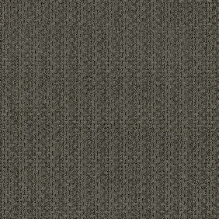Anderson Tuftex Casual Life — Smoked Pearl · Z6812-00559 — flooring selection with LeviArs Design & Remodeling