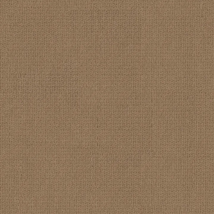 Anderson Tuftex Casual Life — Tiger Eye · Z6812-00228 — flooring selection with LeviArs Design & Remodeling