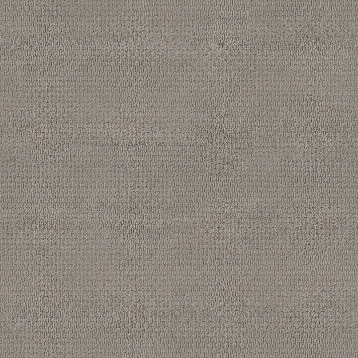 Anderson Tuftex Casual Life — Valley Mist · Z6812-00523 — flooring selection with LeviArs Design & Remodeling