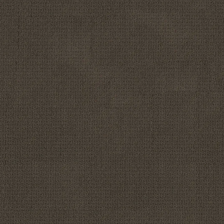 Anderson Tuftex Casual Life — Woodridge · Z6812-00779 — flooring selection with LeviArs Design & Remodeling