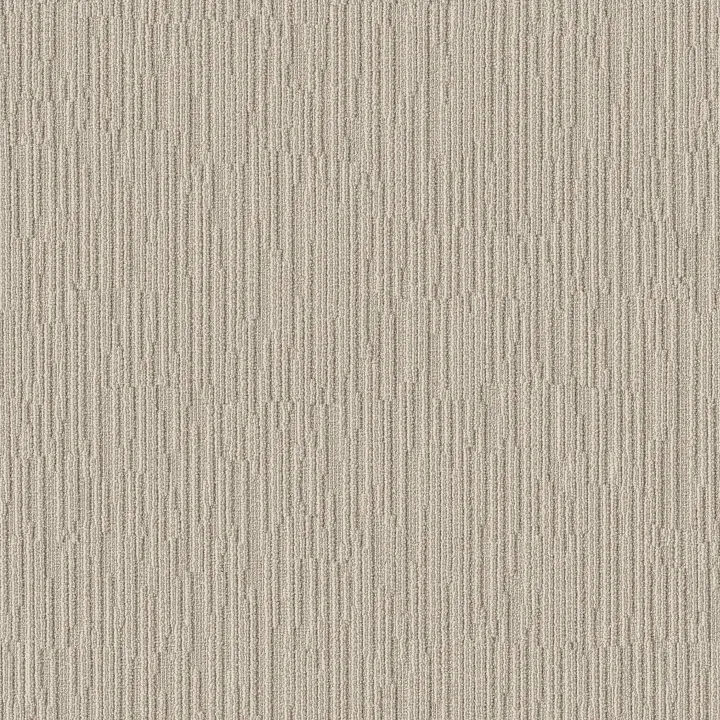 Anderson Tuftex Chase — Birch · ZZ075-00111 — flooring selection with LeviArs Design & Remodeling