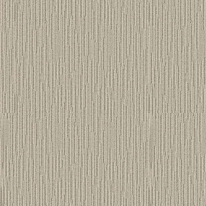 Anderson Tuftex Chase — Soft Fern · ZZ075-00312 — flooring selection with LeviArs Design & Remodeling