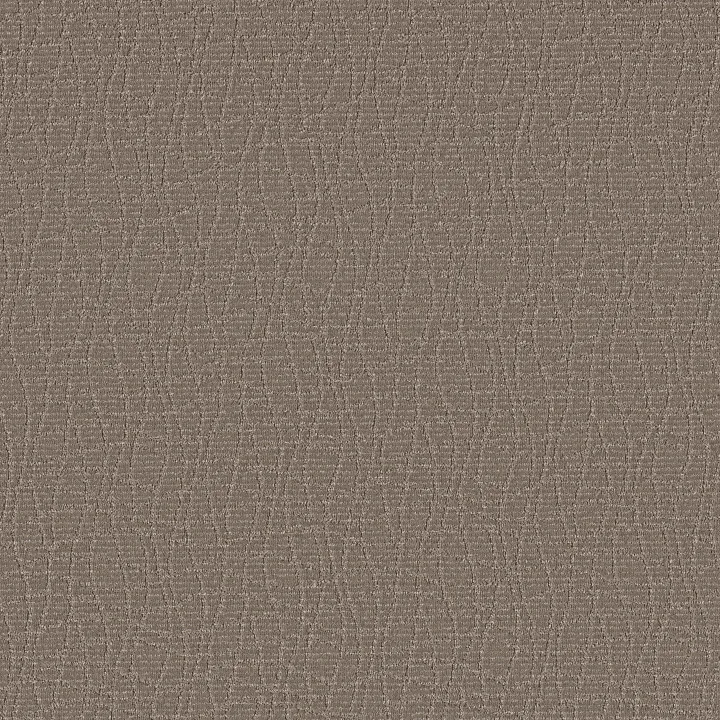 Anderson Tuftex Chit Chat — Caffeine · ZZ261-00775 — flooring selection with LeviArs Design & Remodeling