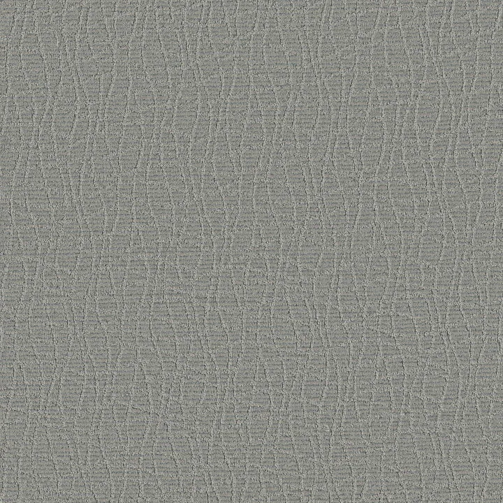 Anderson Tuftex Chit Chat — Fresh Tone · ZZ261-00344 — flooring selection with LeviArs Design & Remodeling