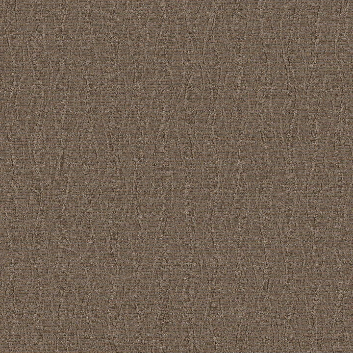 Anderson Tuftex Chit Chat — Leather Work · ZZ261-00767 — flooring selection with LeviArs Design & Remodeling