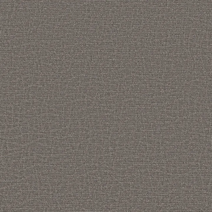 Anderson Tuftex Chit Chat — Magnetic · ZZ261-00556 — flooring selection with LeviArs Design & Remodeling