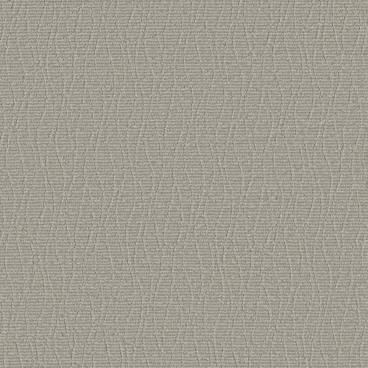 Anderson Tuftex Chit Chat — Morning Zen · ZZ261-00313 — flooring selection with LeviArs Design & Remodeling