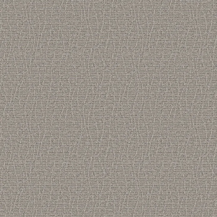 Anderson Tuftex Chit Chat — Nightingale · ZZ261-00572 — flooring selection with LeviArs Design & Remodeling