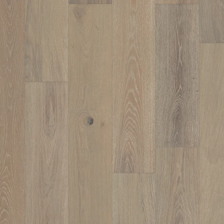 Anderson Tuftex Coast To Coast — Promenade · AA844-15037 — flooring selection with LeviArs Design & Remodeling