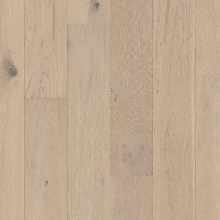 Anderson Tuftex Coast To Coast — Sandbar · AA844-11079 — flooring selection with LeviArs Design & Remodeling