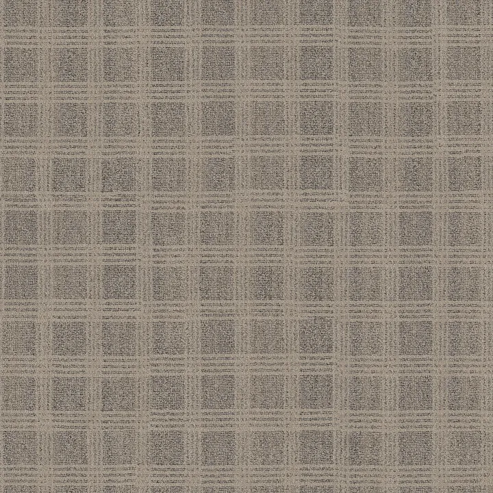 Anderson Tuftex Collab — Chic Taupe · ZZ311-00701 — flooring selection with LeviArs Design & Remodeling